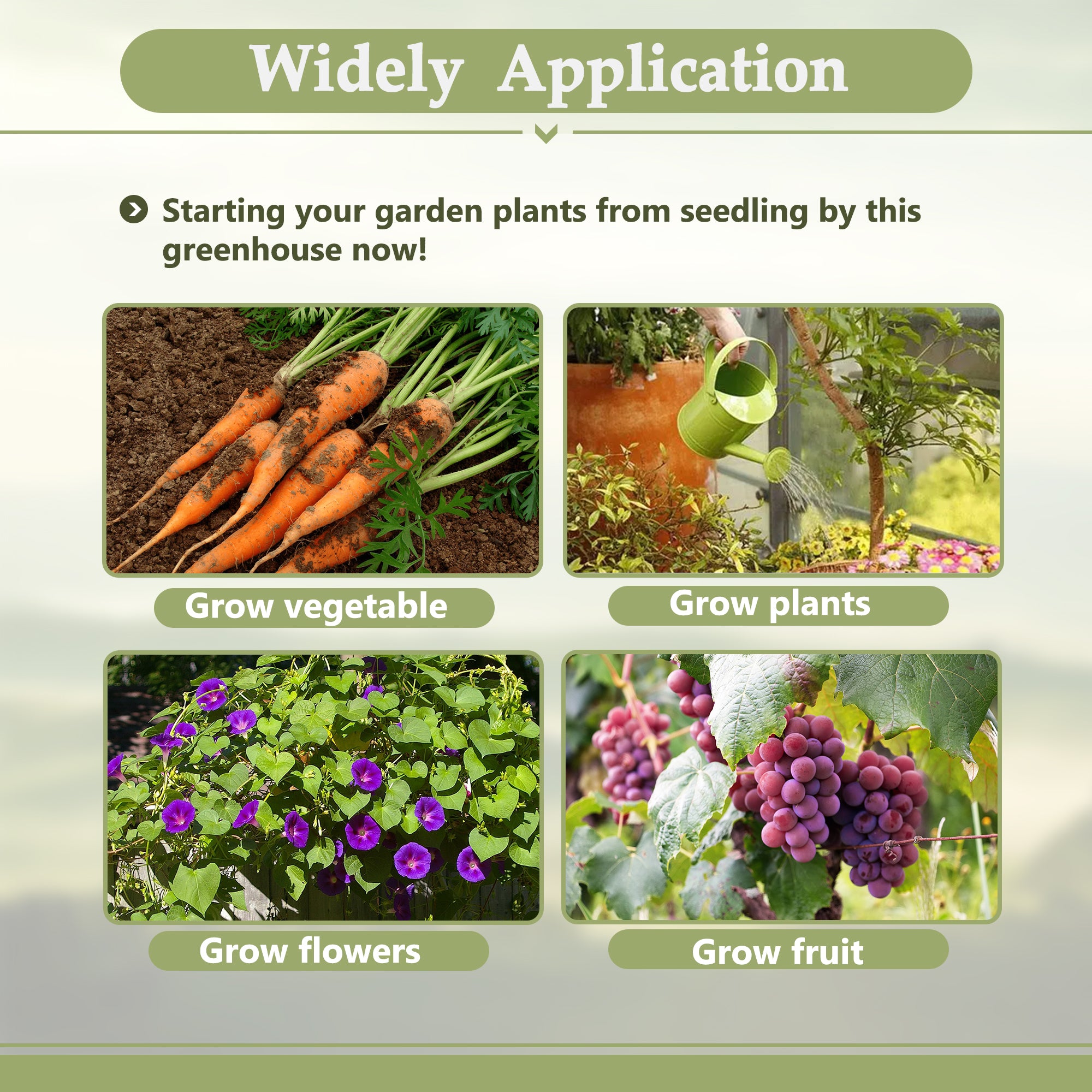 LZBEITEM 6x12 FT Greenhouse for Outdoors, Polycarbonate Greenhouse with Quick Assembly Structure and Roof Vent, Large Aluminum Walk-in Greenhouse for Outside Garden Backyard