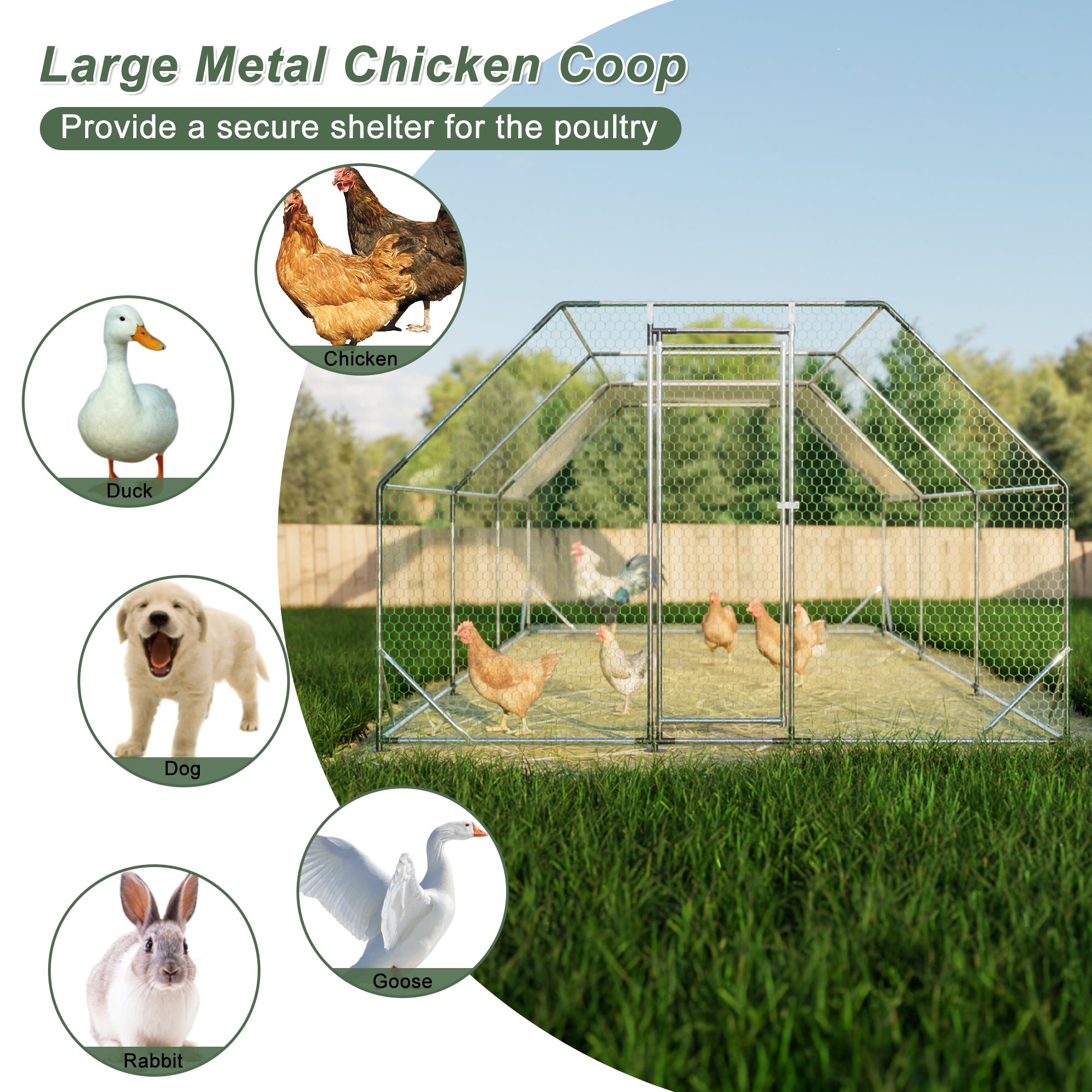 THANADDO 10.ft x 13.ft Metal Chicken Coop & Run with Flat Roof FR34