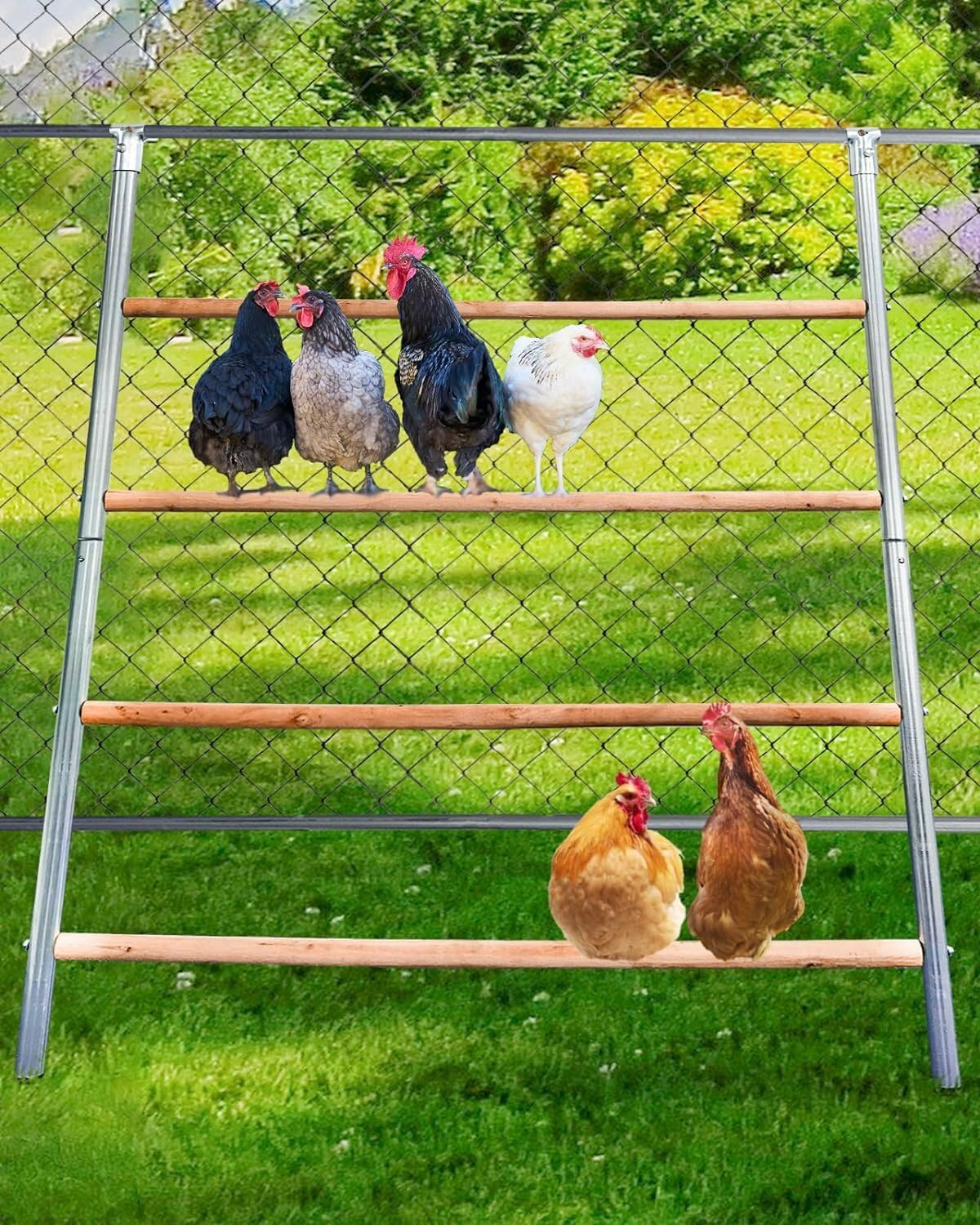 THANADDO Large Chicken Perch for Coop, Roosting Bar for Hen Stand,Funny Chicken Toy for Chicken Coop Accessories