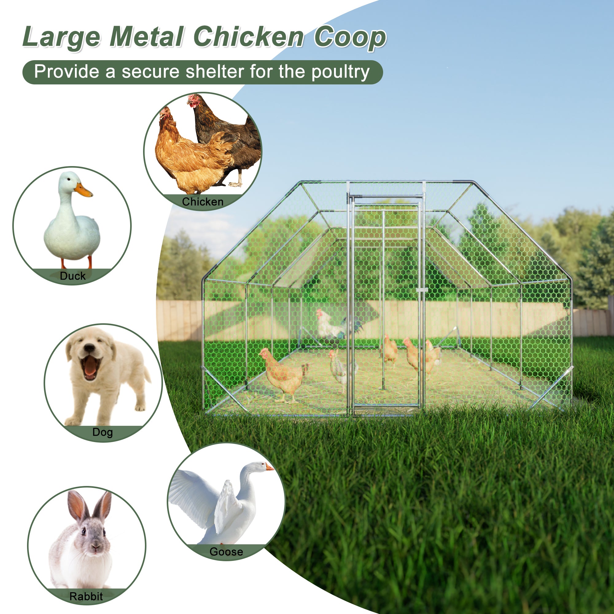 THANADDO 10.ft x 26.ft  Metal Chicken Coop & Run with Flat Roof FR38